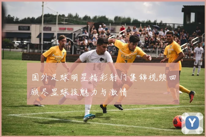 国外足球明星精彩射门集锦视频回顾尽显球技魅力与激情