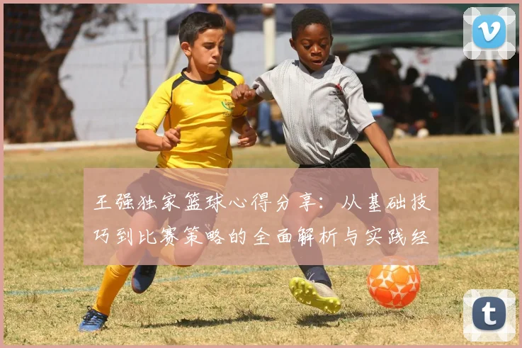 王强独家篮球心得分享：从基础技巧到比赛策略的全面解析与实践经验总结