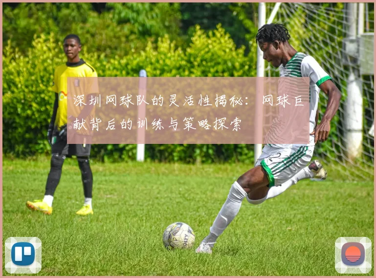 深圳网球队的灵活性揭秘：网球巨献背后的训练与策略探索