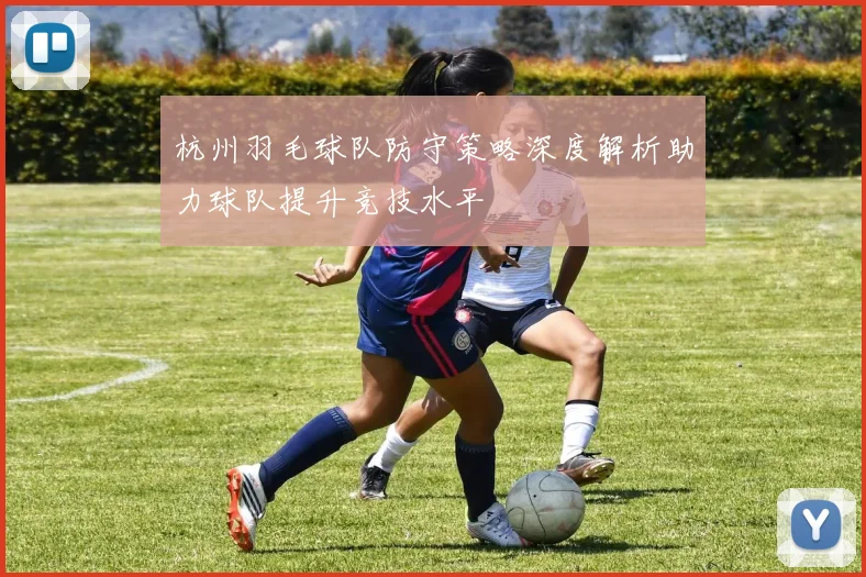 杭州羽毛球队防守策略深度解析助力球队提升竞技水平