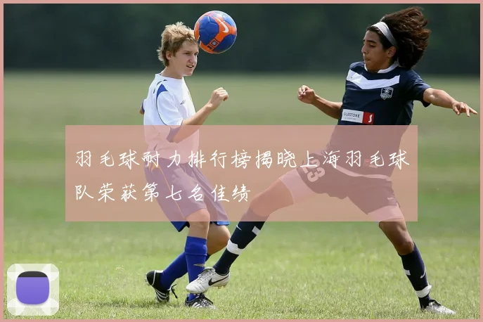 羽毛球耐力排行榜揭晓上海羽毛球队荣获第七名佳绩