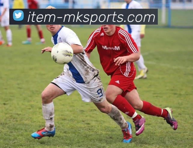 mk体育APP 封面图